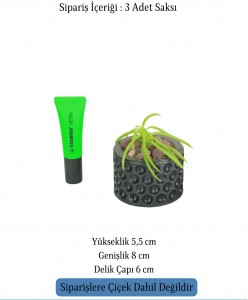 Mini Çiçek Saksı Küçük Sukulent Siyah Kaktüs Saksısı 3'lü Set Puantiyeli Model